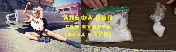 ПСИЛОЦИБИНОВЫЕ ГРИБЫ Белоозёрский